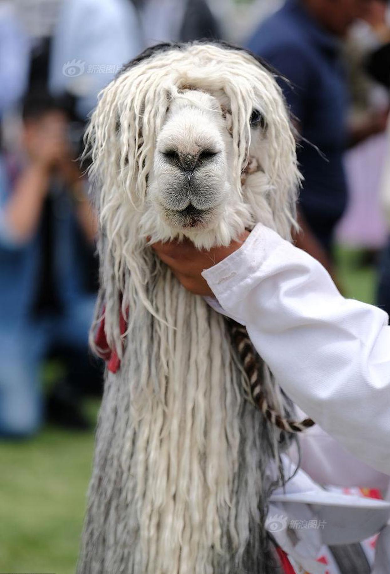 A popular fashion brand announced it will take back old clothes to recycle into new items