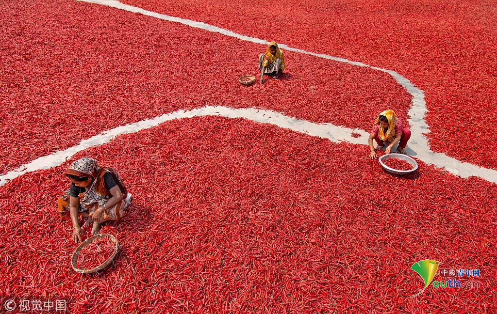 A museum hosted a lecture by a scientist who studies climate change and polar ice
