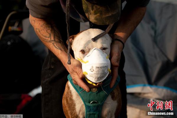 The city council approved plans to build a new sports stadium for local teams