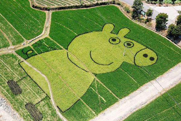 A tech company announced it will allow employees to work from home permanently, even after the end of pandemic restrictions.