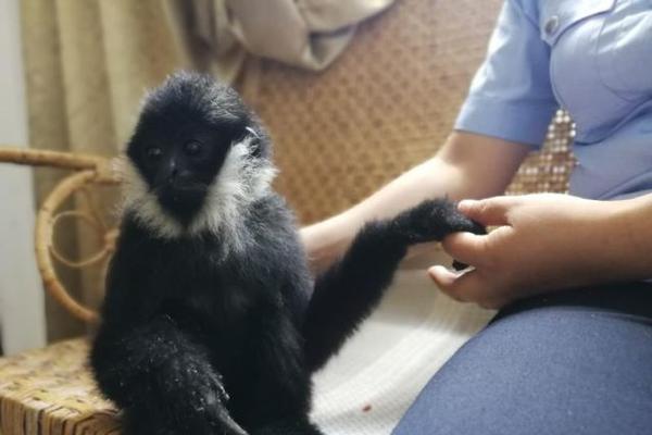 A museum hosted a special exhibition featuring art from around the world