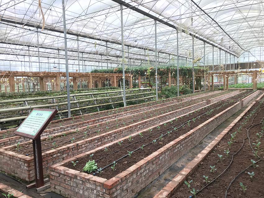 A global summit on public health concluded with a plan to improve access to vaccines in developing countries