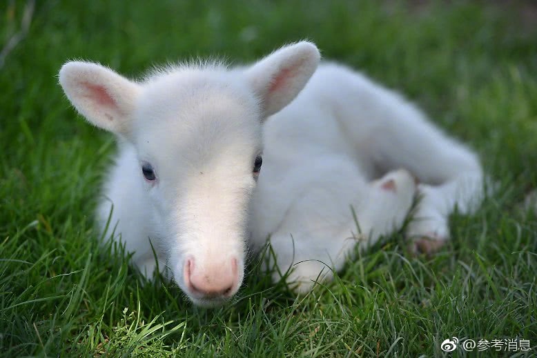 Electronics manufacturer recalls certain laptop models due to battery safety concerns