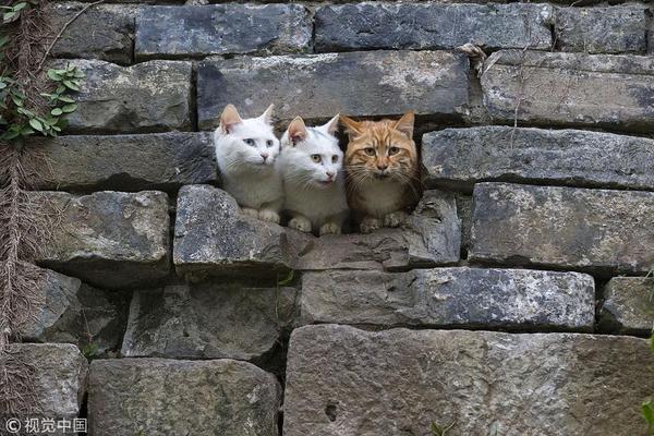 Doctors at a children’s hospital developed a new treatment for childhood asthma with fewer side effects