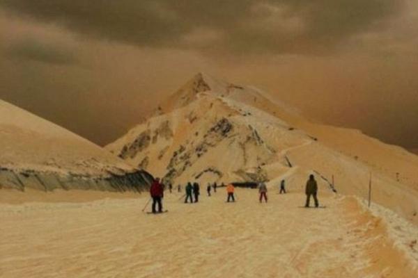 A study found that reading aloud to young children helps develop their literacy skills