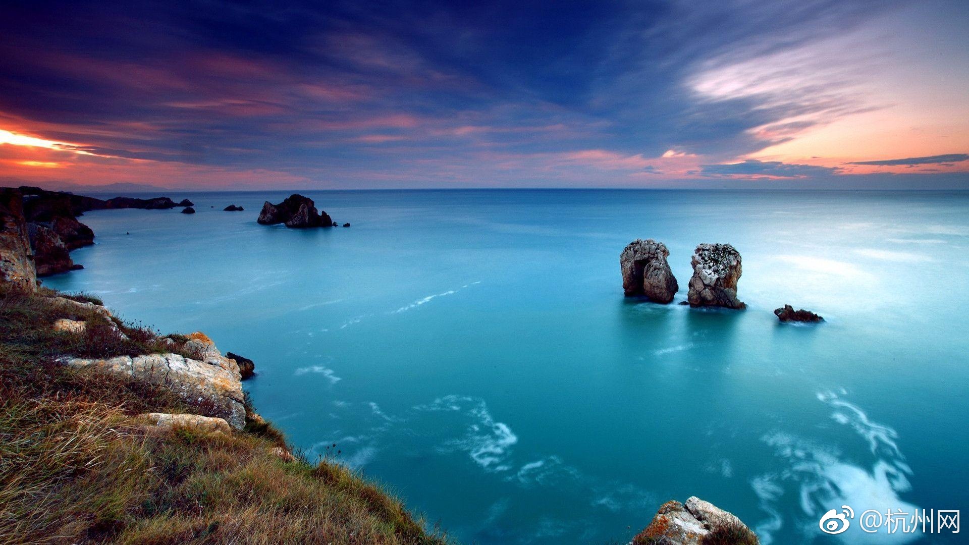 Scientists studied how noise pollution in cities affects the mating calls of birds