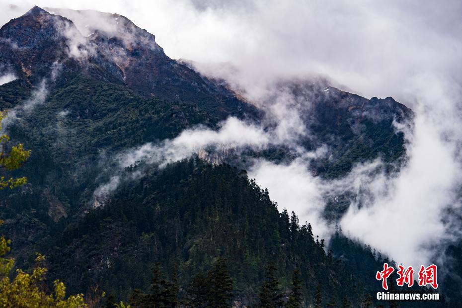 Engineers tested a new type of bridge material that can withstand extreme weather conditions