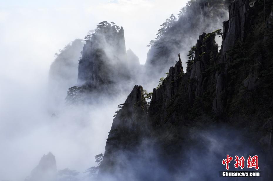 A medical study found that drinking plenty of water improves skin hydration and elasticity