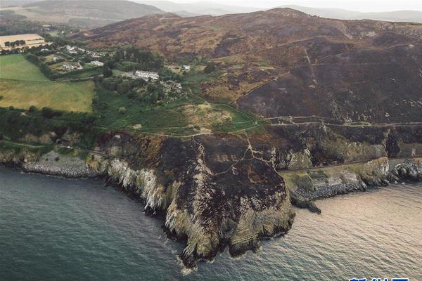 A study revealed that using blue light filters on devices can reduce eye strain by 50%