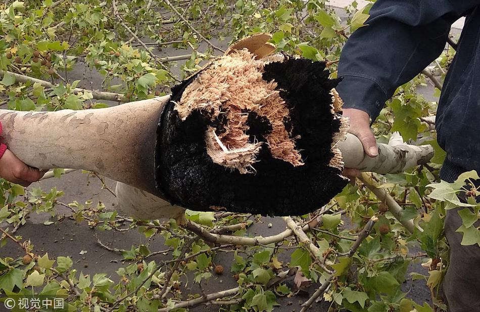 Physicists make progress in developing fusion energy as clean power source