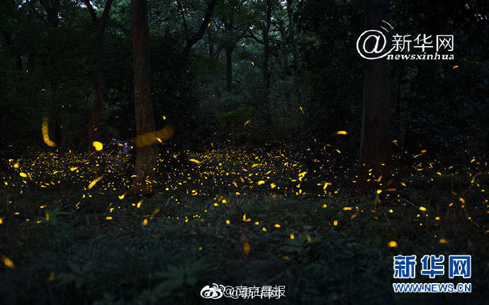 The public transit system started offering free rides for students with valid school IDs