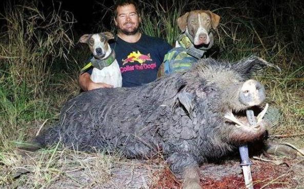 Scientists studied how light pollution affects bird migration