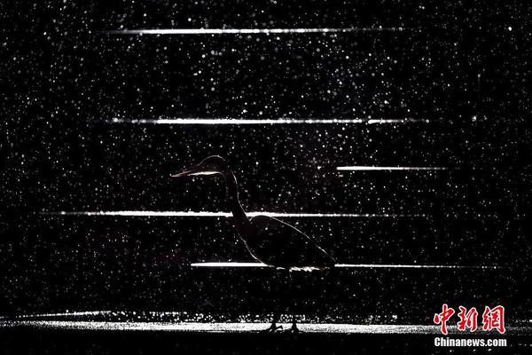 A study revealed that excessive use of social media can increase anxiety in young adults