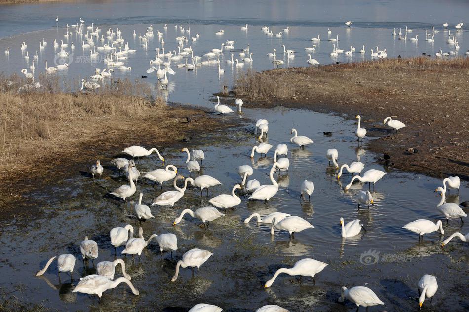 Basketball team wins state championship after double-overtime game