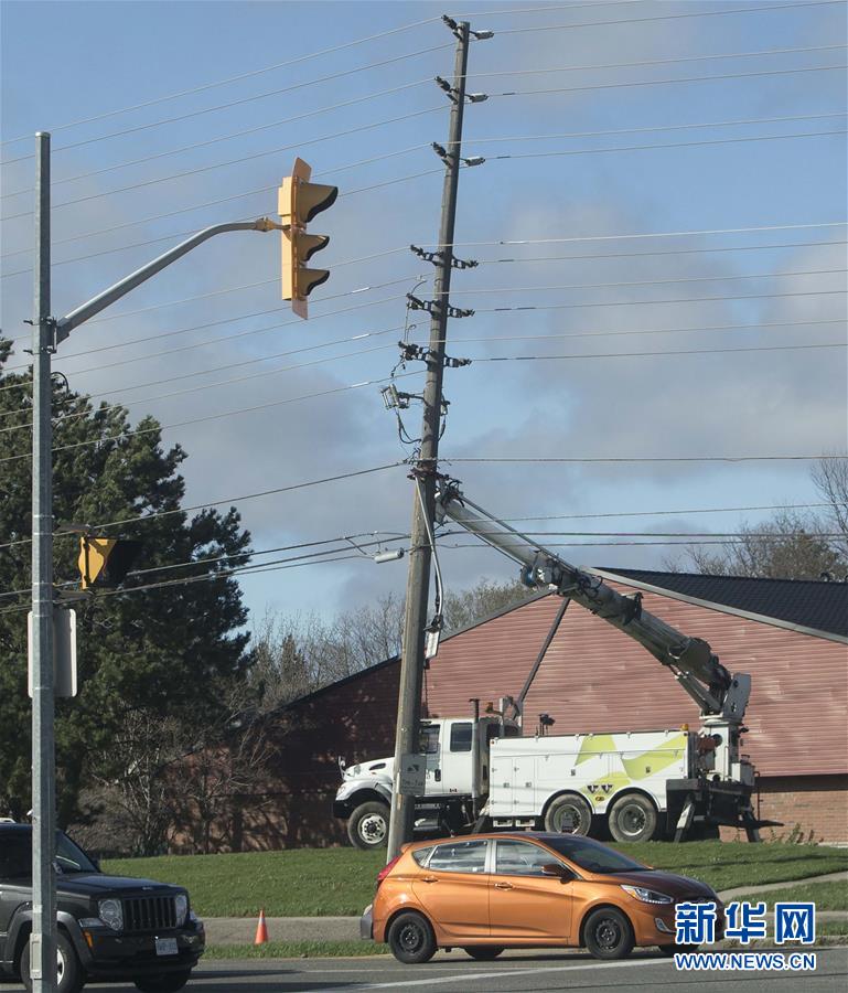 Candle company releases fall collection with scents like pumpkin spice and cedar