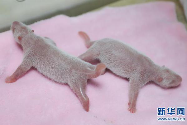 A scientist developed a new method to detect early signs of Parkinson’s disease using a simple blood test