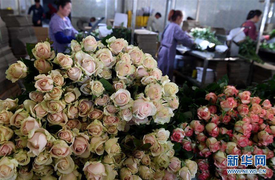 A tech company donated money to a local school for science equipment