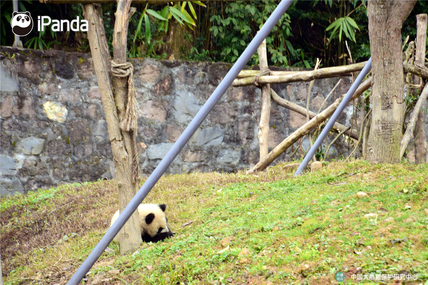 Coffee shop roasts its own beans on site