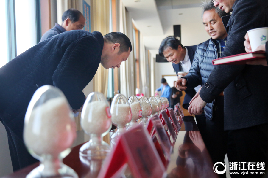 A popular clothing brand announced a collaboration with a famous athlete to create sportswear