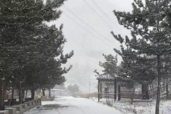 A research study showed that listening to classical music can improve focus in students