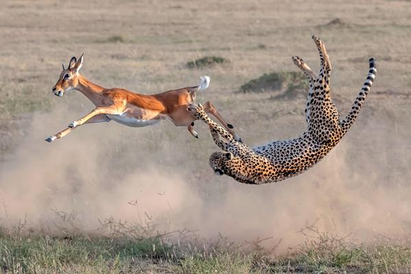 A hotel started offering