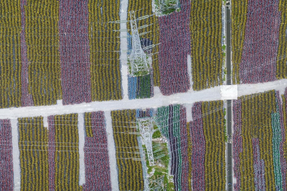 Art gallery hosts opening reception for new exhibition by local artists