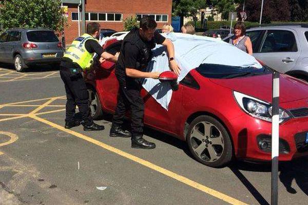 A new study showed that drinking water instead of sugary drinks can reduce the risk of obesity in children by 40%.