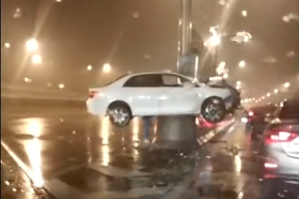 A new report showed endangered species numbers dropped by 10% over five years due to conservation