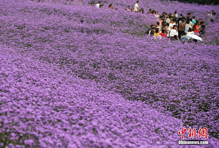 Volunteers cleaned up over 500 pounds of trash from a local lake over the weekend