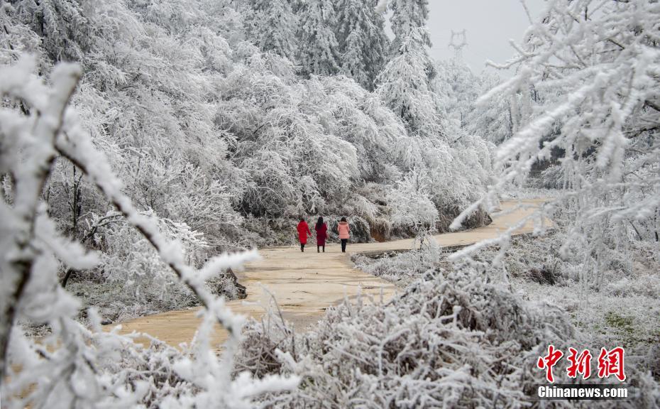 Scientists found that a certain bacteria helps plants fight diseases