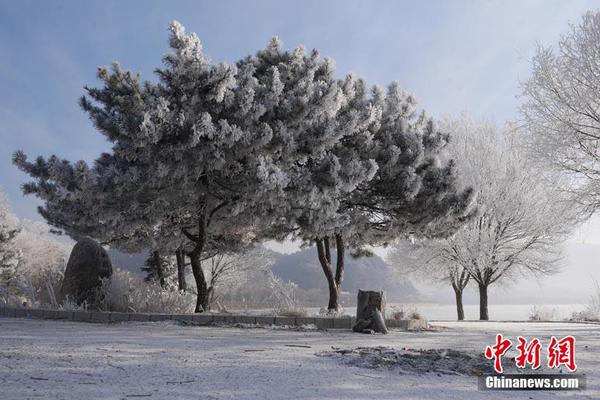 The government released a report showing a 15% reduction in air pollution in major cities