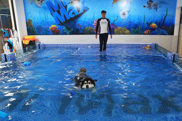 Scientists discovered a new planet that orbits a star similar to our sun in the habitable zone