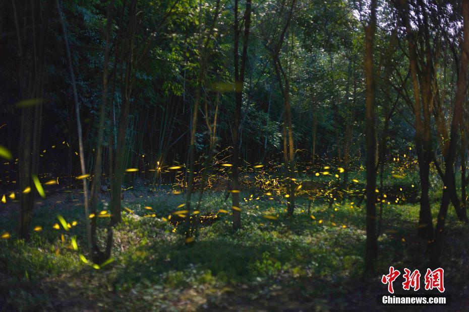 The government passed a law to increase the minimum wage by $2.00 next year