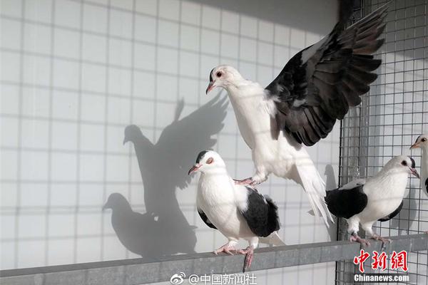 A charity organized a concert to raise money for a local children’s hospital