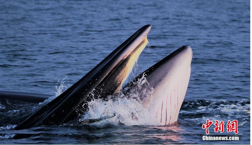 A tech startup released a new software tool that helps businesses manage remote teams more efficiently