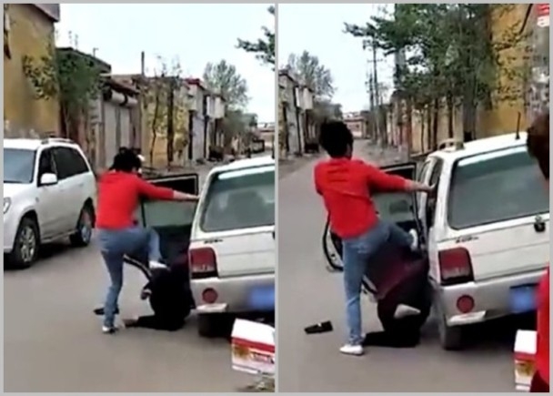 City officials approved a plan to plant 5000 new trees in urban parks