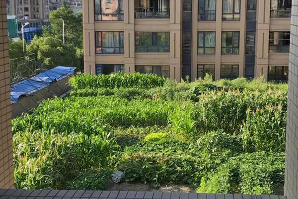 A study found spending time with grandchildren reduces depression risk in elderly adults