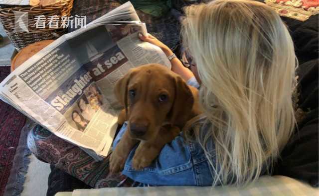 Police arrested seven individuals suspected of running a fraudulent online shopping scheme