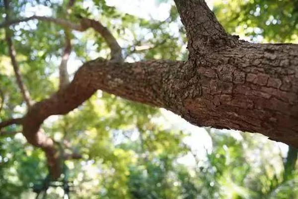 Weather forecasters predicted heavy snowfall for northern regions next week