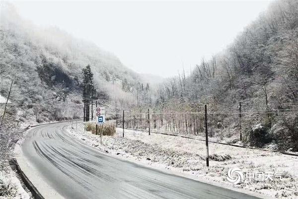 Chocolate shop creates artisanal chocolates with local ingredients