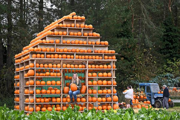 A major airline announced plans to use sustainable aviation fuel for 10% of its flights