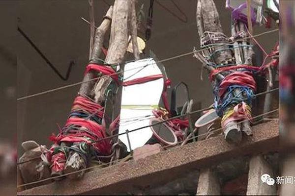 The national rugby team won the regional championship after a last-minute try in the final match