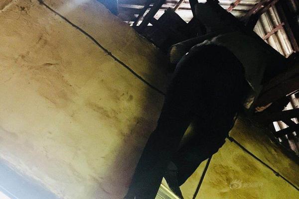 A university opened a new dormitory that can house 400 students