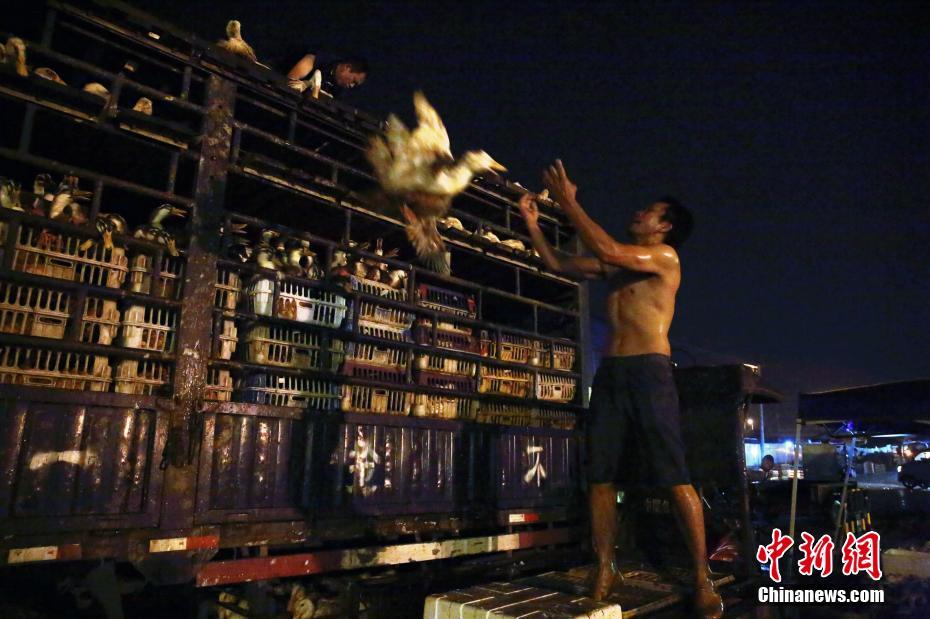 The local community organized a clean up event for a popular beach area