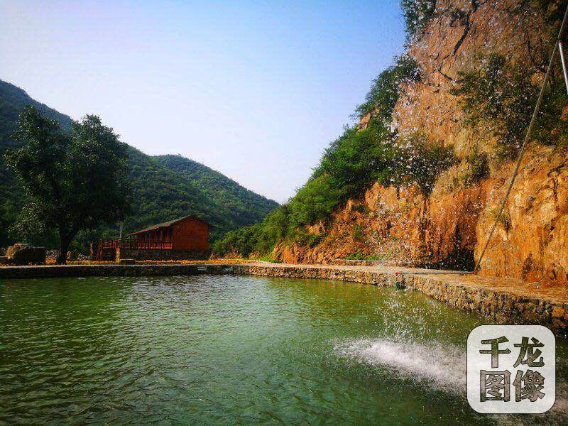 A farm started selling its produce online to reach more customers