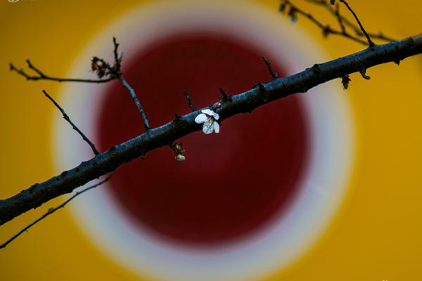 The community organized a fundraiser to buy new equipment for the local fire department