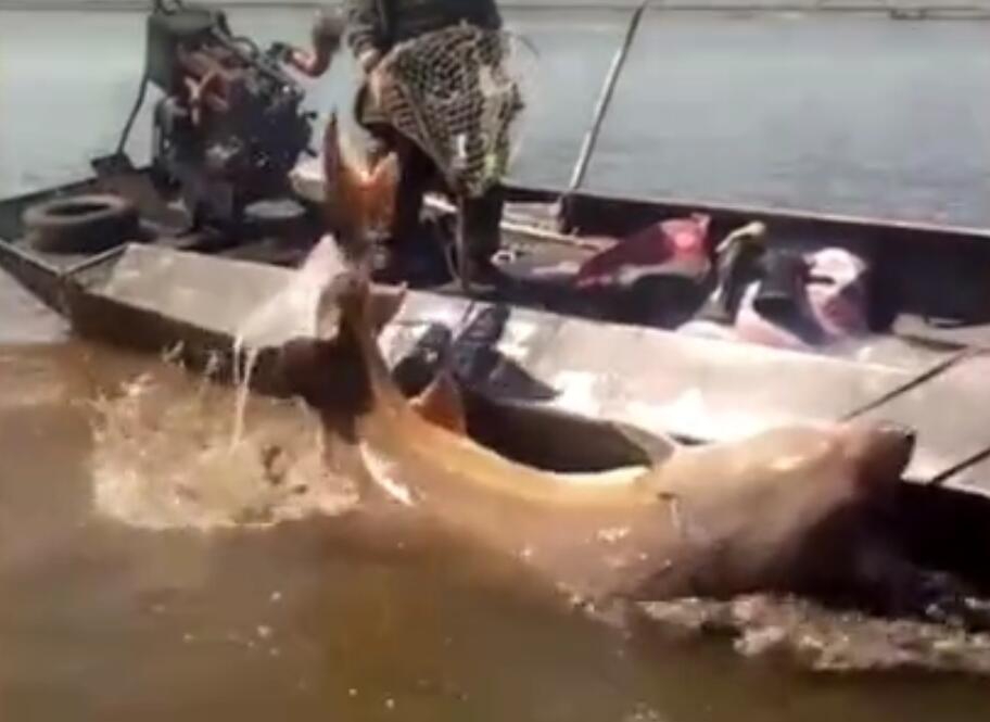 A new study found that spending time in nature can reduce stress levels and improve mental health.