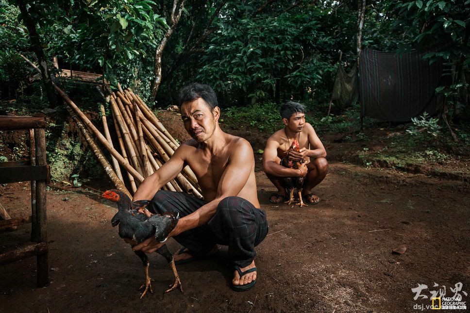 A fashion brand announced it would stop using fur, leather, and other animal products