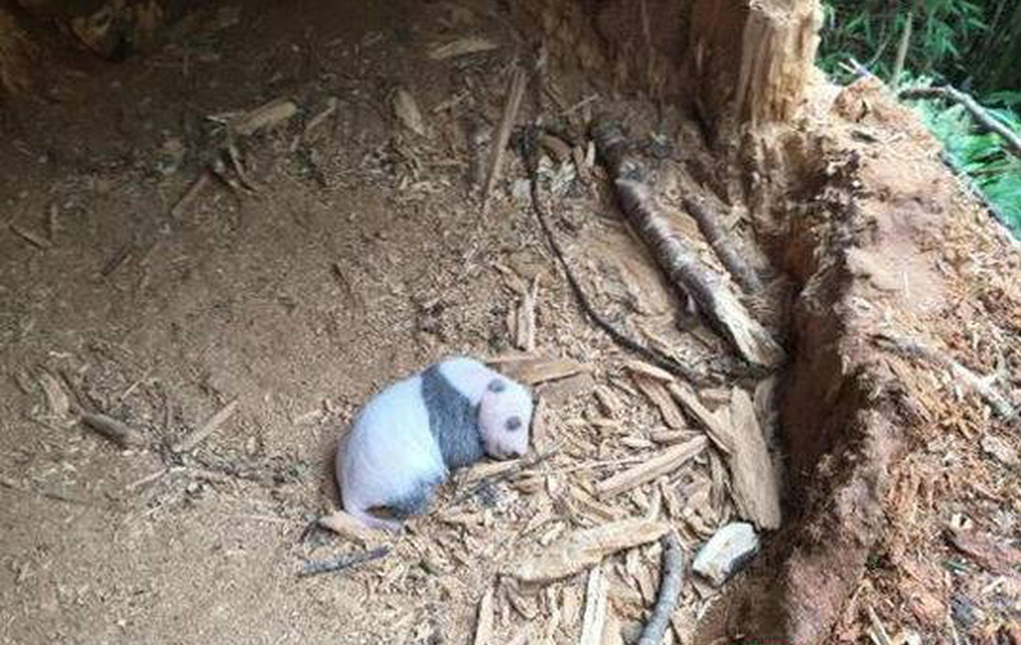 Local authorities announced plans to build a new hospital in a rural area addressing the shortage of medical facilities