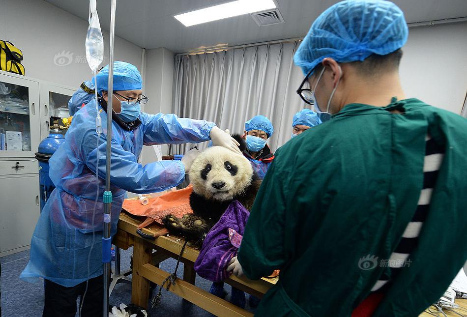 A charity organization provided school supplies to children in need